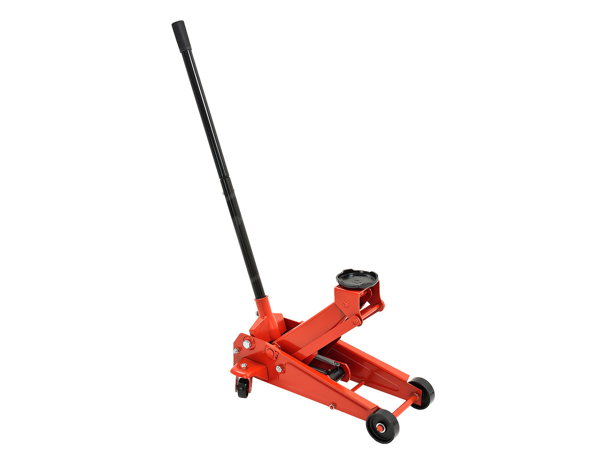 Image-OMINS:54041