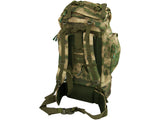 Image-OMINS:104556