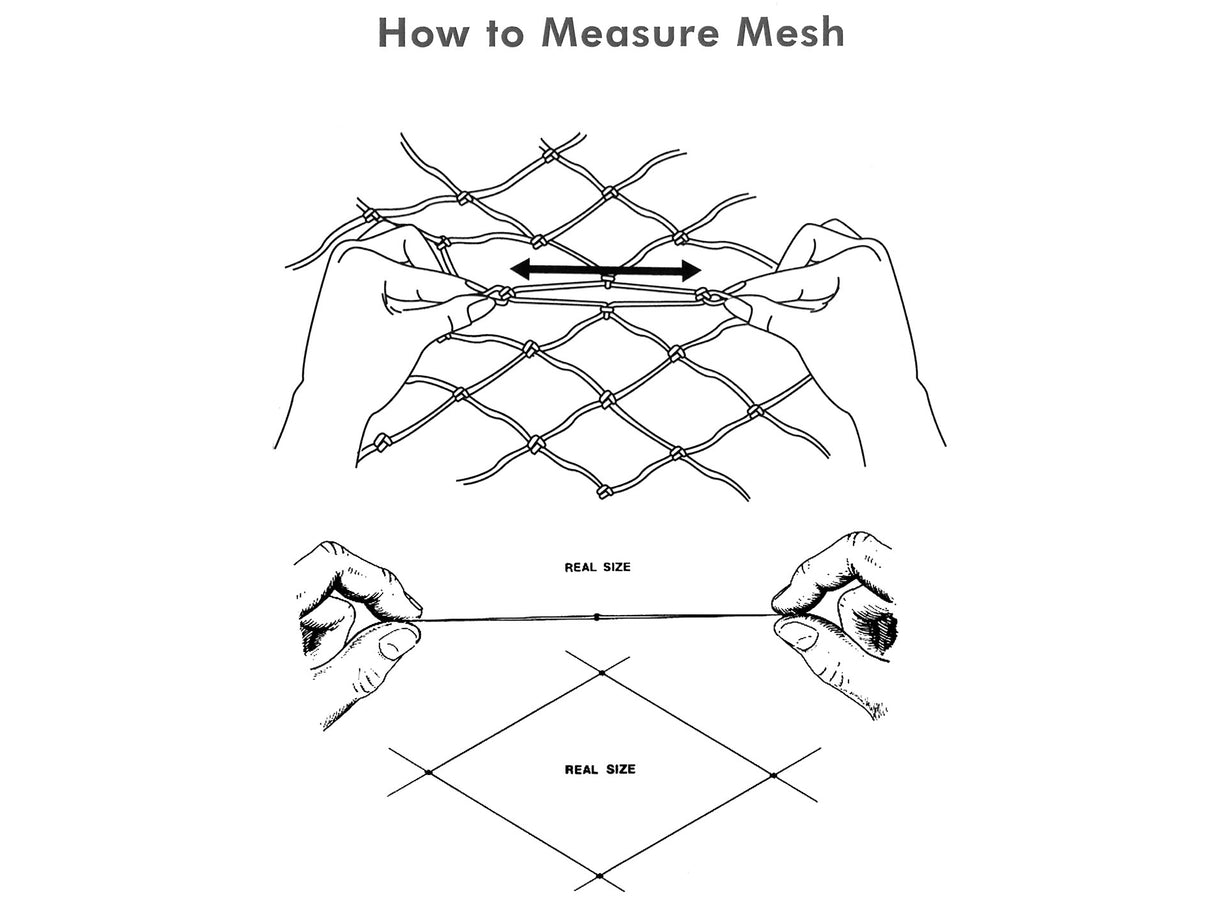 Image-OMINS:86794