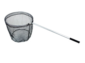 Image-OMINS:55937