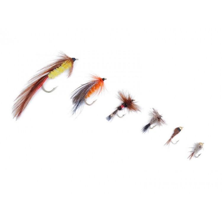 Fly Fishing Starter Kit with 6 Flies