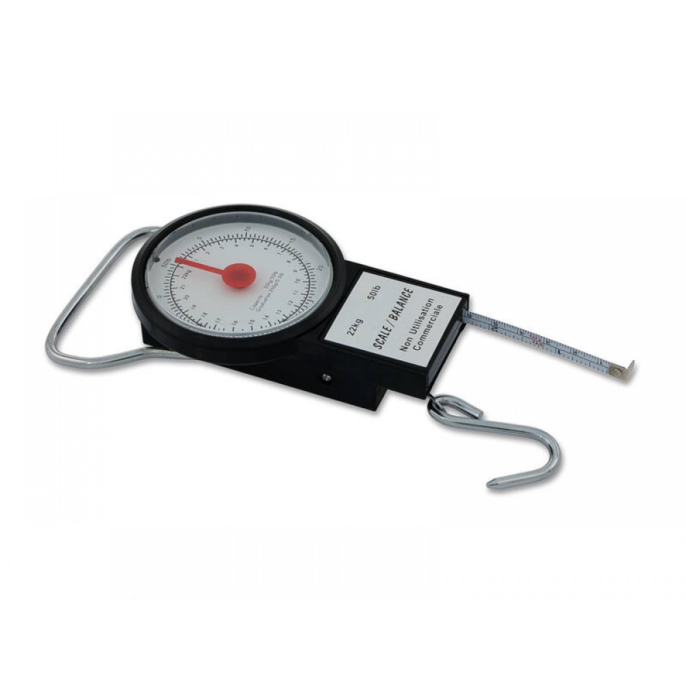 22kg/50lb Hanging Hook Scale with Measuring Tape Fishing Travel Weighing  Scales