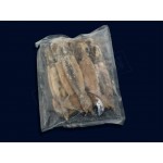 SALTY DOG Squid - Frozen Fishing Bait 1kg