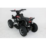 Petrol Quad Bike 49cc 2-Stroke Easy Pull Start 6" Tyres - Assembled 2023