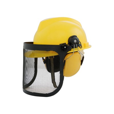Hard Hat Face with Mesh Safety Visor & Protective Earmuffs Set