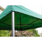 3x3m Gazebo Lawn Marquee | Pop Up Tent | GREEN Roof Awning | Outdoor Shade